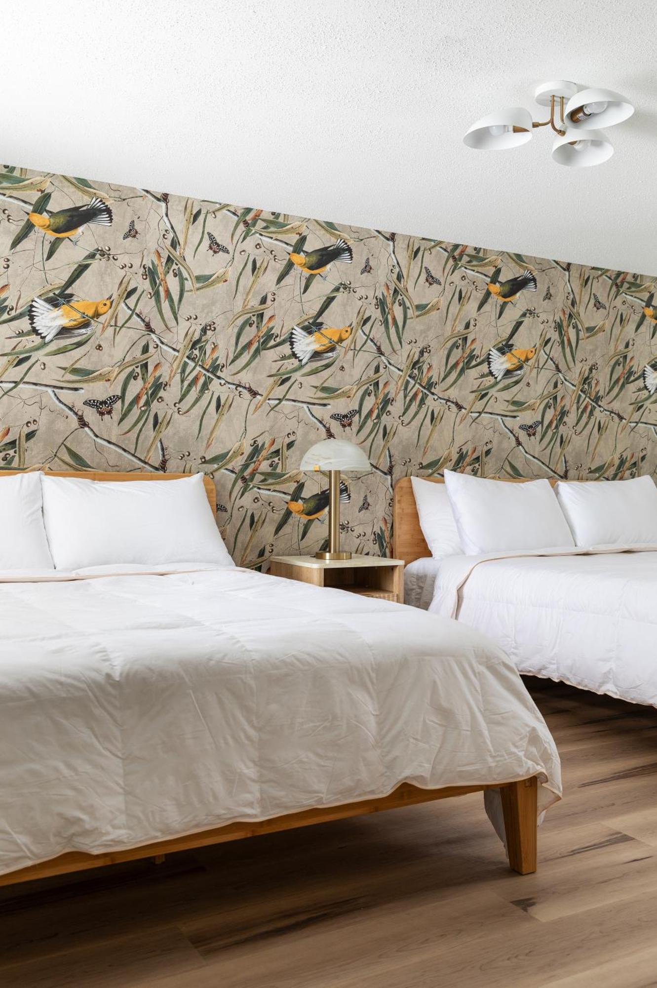 The Windmoor Lodge Grayling Quarto foto